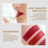 Rouge à lèvres liquide personnalisé, mini multipack, vegan, imperméable, nouveau design Ochain
