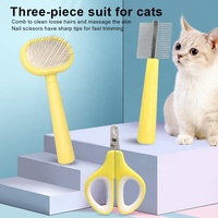 Fabrika toptan Blister kart ambalajı 3 In 1 kedi iğne fırçası seti köpek ev hayvanı tırnak törpüsü kiti