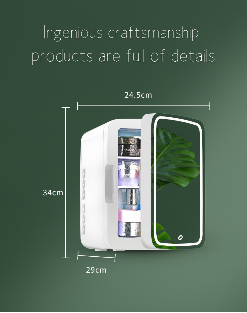 New 10l Mini Fridge Skin Care Fridge Mini, With LED Mini Fridge Mirror