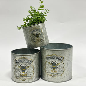 ถังโลหะสำหรับปลูกต้นไม้ในลานระเบียงทำจากเหล็กกัลวาไนซ์ออกแบบได้ตามต้องการ - Product Image 2