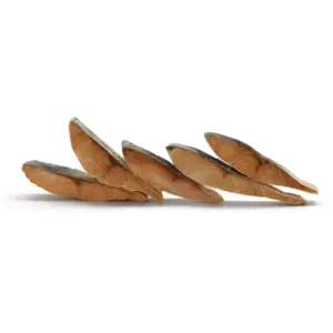 بيع بالجملة سمك السلمون المجفف المجمد مع علاج الحيوانات الأليفة لتصدير الحيوانات الأليفة بالجملة مكمل منخفض السعر علاج القط للكلاب - Product Image 1