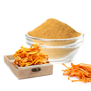 Extracto de Cordyceps Militaris Puro Orgánico 10:1 de Marca Privada, Polvo de Extracto de Hongo Cordyceps - Product Image 2