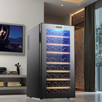 Refroidisseur à vin thermoélectrique Cave à vin Fonctionnement silencieux Mini bar de chambre à coucher 78L Réfrigérateur à vin 32 bouteilles