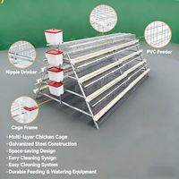 Cages à poules pondeuses pour ferme avicole au Kenya, système de batterie de cages en colonie enrichie pour 96, 120, 128, 160 poules pondeuses