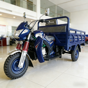 ELICK Fournisseur Direct d'Usine >250cc Tricycle Motorisé Ouvert avec Side-car, Moteur à Essence, Charge Utile 400kg, Vitesse 70km/h - Product Image 6