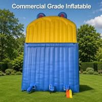 Château gonflable commercial DFRL en PVC de 0,55 mm, motif dessin animé, garantie 3 ans, installation facile, prix de gros, fabriqué en Chine