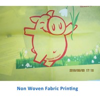 2 4 6 8 10 Warna Mesin Cetak Flexo Terbaik Biaya untuk Film Plastik PP Kain Tenun Non Woven Daftar Harga Mesin Cetak Tas