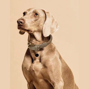 <span class=keywords><strong>Collar</strong></span> ajustable de lujo Premium para mascotas, correa para el cuello, <span class=keywords><strong>collar</strong></span> y correa para perro de cuero de vaca trenzado genuino con hebilla de Metal dorado - Product Image 6