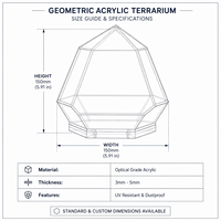 Terrarium en acrylique transparent sur mesure, forme géométrique pentagonale, dôme pour plantes succulentes, maison en verre décorative pour bureau
