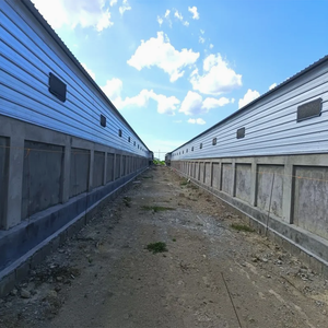 पॉल्ट्री हाउस उपयोग के लिए प्रीफैब्रिकेटेड मॉड्यूलर गैल्वेनाइज्ड लाइट गेज स्टील फ्रेम निर्माण - Product Image 5