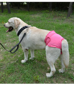 רחיץ נשי גור כלב חיתול מכנסיים פיסיולוגיים סניטריים - Product Image 5