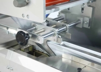 Machine à emballer horizontale entièrement automatique pour sacs, aliments, légumes, glaces, bâtonnets de glace - Haute vitesse, économie d'énergie, multifonction