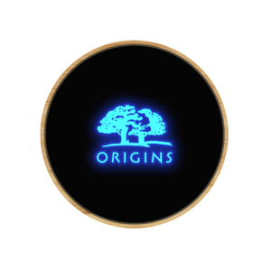 ECO Corporate Promotional Gift Giveaways Items Custom Light up LED Logo 15W USB Bamboo Material UV Printed Phone Charger
