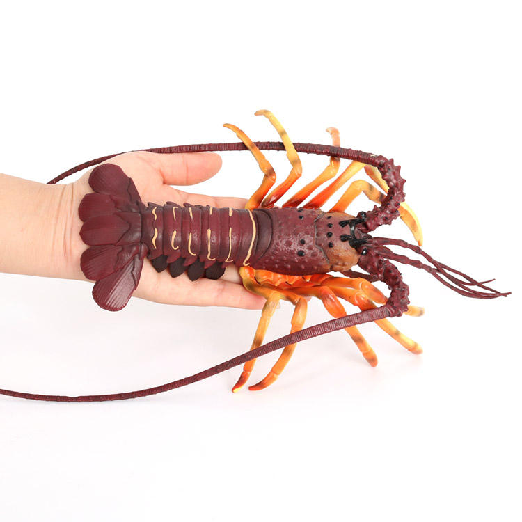 916 Australia Lobster