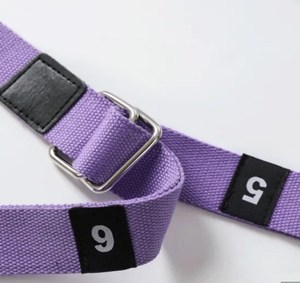 Fornitore diretto della fabbrica Air Yoga Swing amaca aerea Body Building cintura elastica per yoga supporto per corda pull stretch belt - Product Image 6