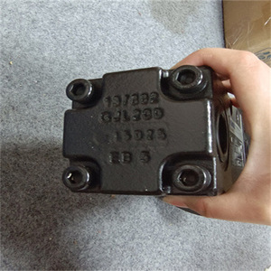 Bomba de tornillo Knoll KTS 20-48-T original alemana para construcción - Product Image 1