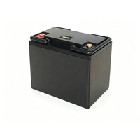 Batterie LiFePO4 portable 12,8 V 40 Ah avec BMS intégré, batterie lithium à décharge profonde pour le camping, la pêche, les camping-cars, l'alimentation de secours solaire en extérieur