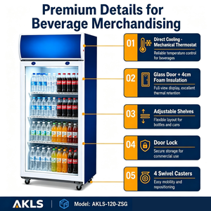 Vente directe usine – Réfrigérateur à boissons Cola à porte vitrée verticale, température unique, personnalisable avec logo, à compresseur, prix abordable - Product Image 4