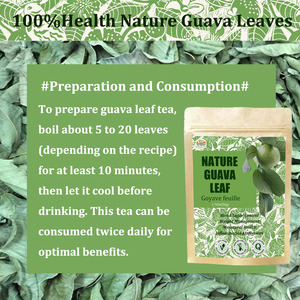 Thé aux feuilles de goyave, sachets de thé, contrôle de la glycémie, gestion du poids, biologique, tisane, thé sans caféine, antioxydants - Product Image 2