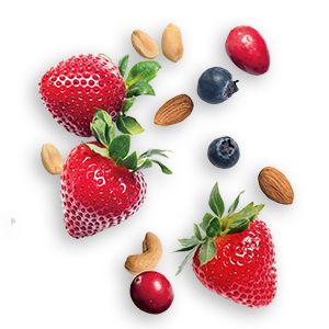 โปรตีนบาร์รสคุกกี้แอนด์ครีมแบบสำเร็จรูป โปรตีน 21 กรัม คาร์โบไฮเดรตสุทธิ 4 กรัม น้ำตาล 1 กรัม ปราศจากกลูเตน เหมาะสำหรับคีโต บรรจุ 4 ชิ้น - Product Image 4