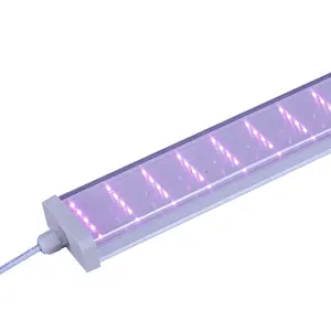 Individuelles 144 W Vollspektrum-LED-Anbaulichtwerk neueste LM301H Evo für Indoor-Pflanzen Gemüse und Blüte Bühne Rot und Blau CCT