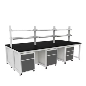 Bàn thí nghiệm hóa chất bằng thép với mặt bàn bằng nhựa phenolic dành cho phòng thí nghiệm nghiên cứu và thử nghiệm - Product Image 4