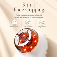 Appareil de lifting du visage OEM, machine de minceur par aspiration sous vide, appareil portable de microcourant pour sculpter le visage en V, équipement de beauté pour usage domestique