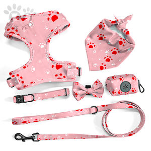 Terbaru diinginkan poliester dapat disesuaikan peliharaan indah <span class=keywords><strong>Harness</strong></span> dicetak dasi kupu-kupu kerah anjing dan Set tali jala bernapas rompi anjing - Product Image 4