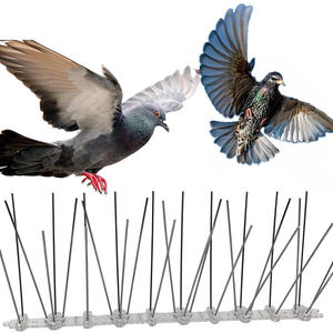 Nouvelles barbelures de protection en acier inoxydable faites maison pour clôtures, anti-oiseaux et pigeons - Product Image 4