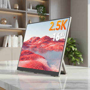 16 inch IPS LCD Laptopmonitor Draagbaar 2560x1600 HDR10 VESA-bevestiging Ingebouwde standaard USB-C Zakelijk Creatief 100% sRGB Ingebouwde Nieuwe - Product Image 1