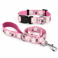 Ensemble collier et laisse pour chien avec logo personnalisé, accessoires pour animaux de compagnie ajustables et personnalisés pour chiens