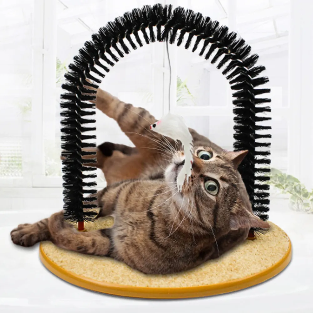 2020 Hot Amazon Self Grooming Arch Scratching Board Cat Play Toy with Catnip Mouse