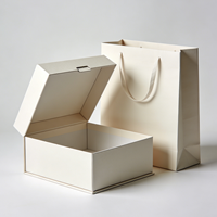 Emballage magnétique personnalisé en usine pour cosmétiques, vêtements, boîte en papier enduit, sac en papier facile à plier, boîte cadeau