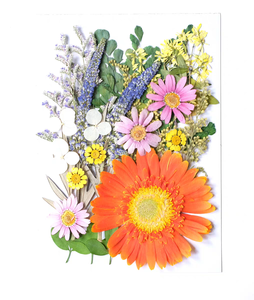 แพ็คผสมดอกไม้อัดแห้งจริง30ชิ้น/แพ็คงานฝีมือศิลปะแบบทำมือทำให้พืชธรรมชาติเป็นมิตรกับสิ่งแวดล้อม - Product Image 4