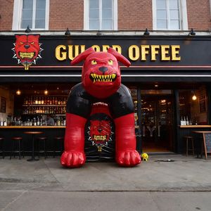 Modelo Inflable Publicitario para Exteriores, Mascota Inflable Comercial Personalizada de Gran Tamaño, Figura Inflable Decorativa para Publicidad en Exteriores - Product Image 1