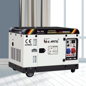 하이언즈 휴대용 방음 50HZ 디젤 발전기 AVR 3상 DG12000SE 8KW 가정용 - Product Image 2