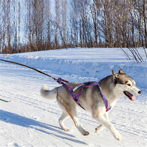 <span class=keywords><strong>Harnais</strong></span> de traîneau réfléchissant pour <span class=keywords><strong>chien</strong></span>, réglable et anti-traction, pour chiens de taille moyenne à grande, idéal pour le ski-à-<span class=keywords><strong>chien</strong></span>, la randonnée et la course - Product Image 4
