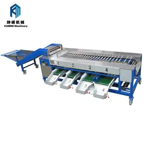 Professional Supplier Sale With Low Price Sweet Potato Sorting Grading Machine