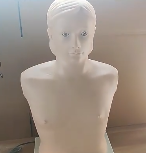 Modello 2026 in PVC per Auscultazione Cardiopolmonare, Manichino per Palpazione con Stetoscopio per Cuore e Polmoni - Product Image 4