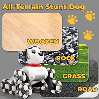 Kinder Outdoor & Indoor Roboter-Spielzeug 8WD Gestensensorik Stunt-Roboterhund RC Auto Spielzeug Ferngesteuerter Roboterhund