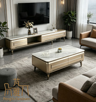 Meuble TV et Table Basse de Luxe au Design Moderne en MDF, Mobilier Statique pour Salon, Style Métal et Plateau