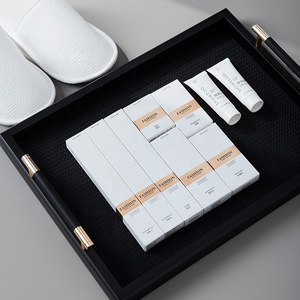 Kit dentale da viaggio Logo personalizzato monouso 10 pz Set da toilette Hotel servizi per il bagno all'ingrosso per l'ospitalità - Product Image 6