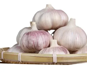 Chinese fresh normal white garlic hot sale lower price than other supplier