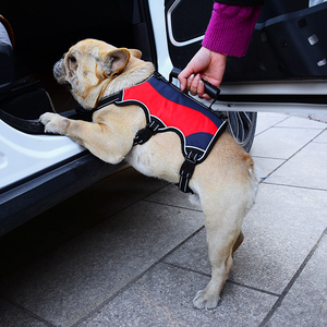 Vpetbr 2025 Ensemble de <span class=keywords><strong>harnais</strong></span> de câblage tactique sans traction pour animaux de compagnie Meilleur service OEM pour poignée <span class=keywords><strong>Ruffwear</strong></span> Laisse en cuir inoxydable Chat Chiot - Product Image 4