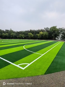 Bóng đá Turf cỏ ngoài trời thể thao nhân tạo thực vật cỏ hạt cao su ininfilling tiêu chuẩn chuyên nghiệp bóng đá sân trường - Product Image 3