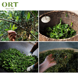 Mini Bola de dragón de té blanco, superventas, venta al por mayor - Product Image 6