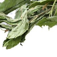Teh Herbal Bunga Kering Daun Mint Grosir
