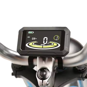 26 Inch 48V 1000W <b>Frame</b> Bike Disc Brakes Scooter <b>Ebike</b> Rear Hub Motor Fat Tire El ARII4 El ARII4 - Product Image 6
