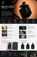 Parfum pour femme sur mesure OEM, brume longue durée, spray de parfum pour homme, pratique