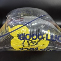 Cadeau publicitaire de personnalité créative de sieste d'oreiller gonflable double transparent avec sac d'emballage en plastique
